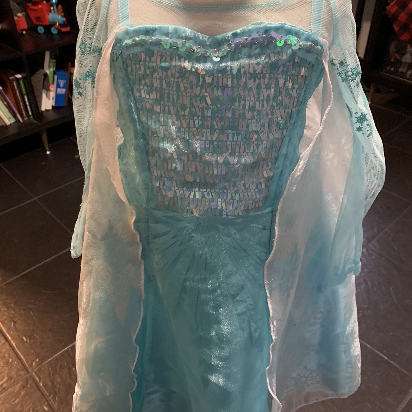 Elsa Disney Park Kids Dress