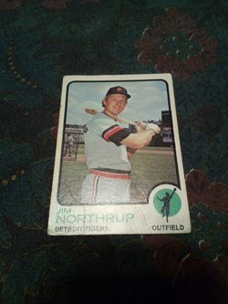Vintage 1973 Topps baseball /Jim Northrup /Detroit tigers/card # 168