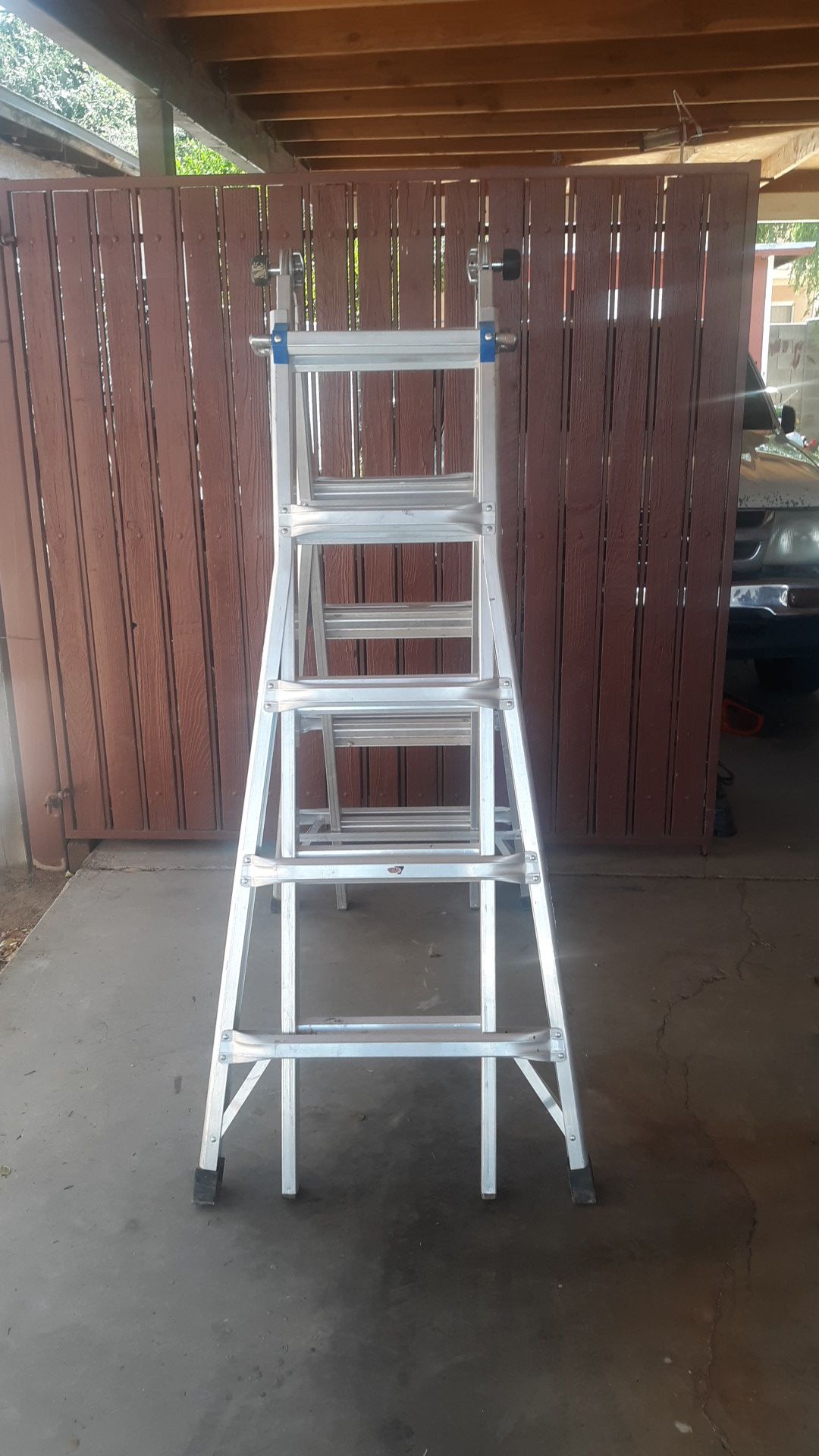 Gorilla ladder