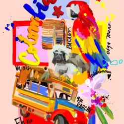 Colombia Backdrop/ Colombian Banner 