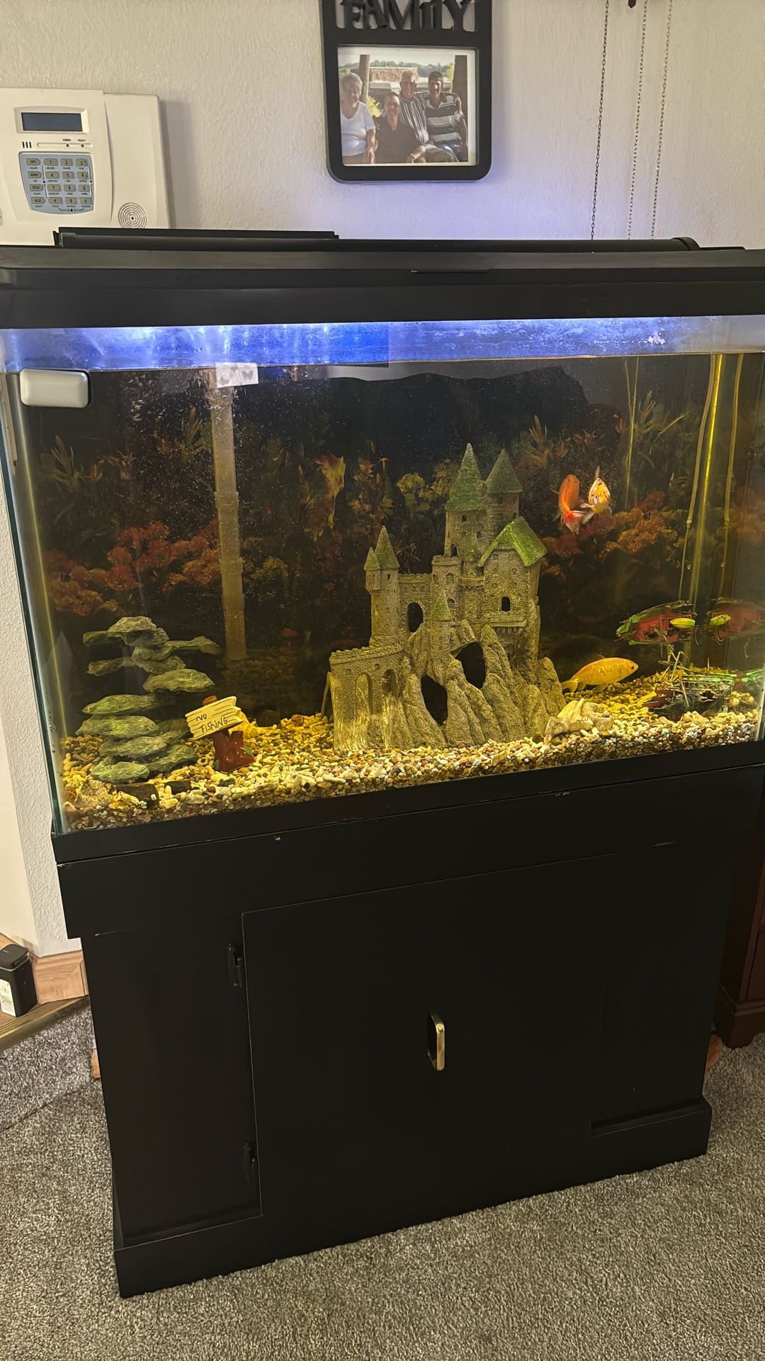 Fish Tank Plus Accessories 