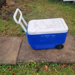 Portable cooler