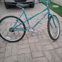 Marotta Schwinn Bike 26-in