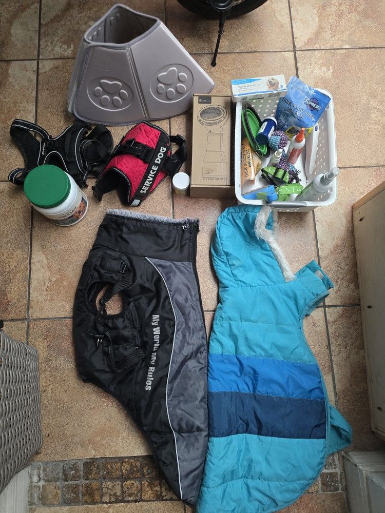 All Dogs Stuffs For Free