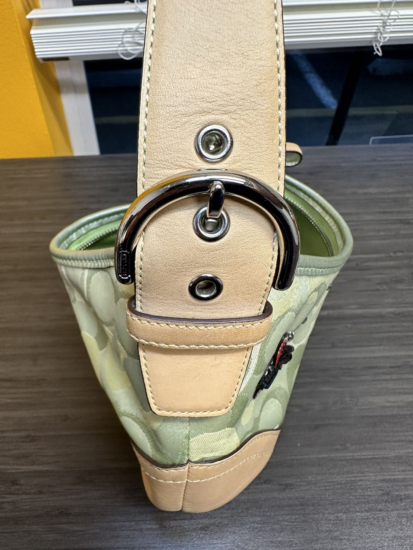 Coach Ltd Ed Green Signature C Optic Hobo Ladybug Bag Purse 