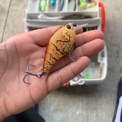 I caught a 4 pound bass on this