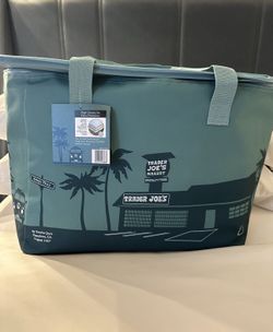 NEW - Trader Joe’s Large Insulated Bag Dusty blue