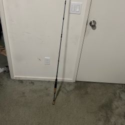 Ozark Trail (Baitcaster Rod) 