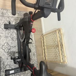 Exercise Bike – $100