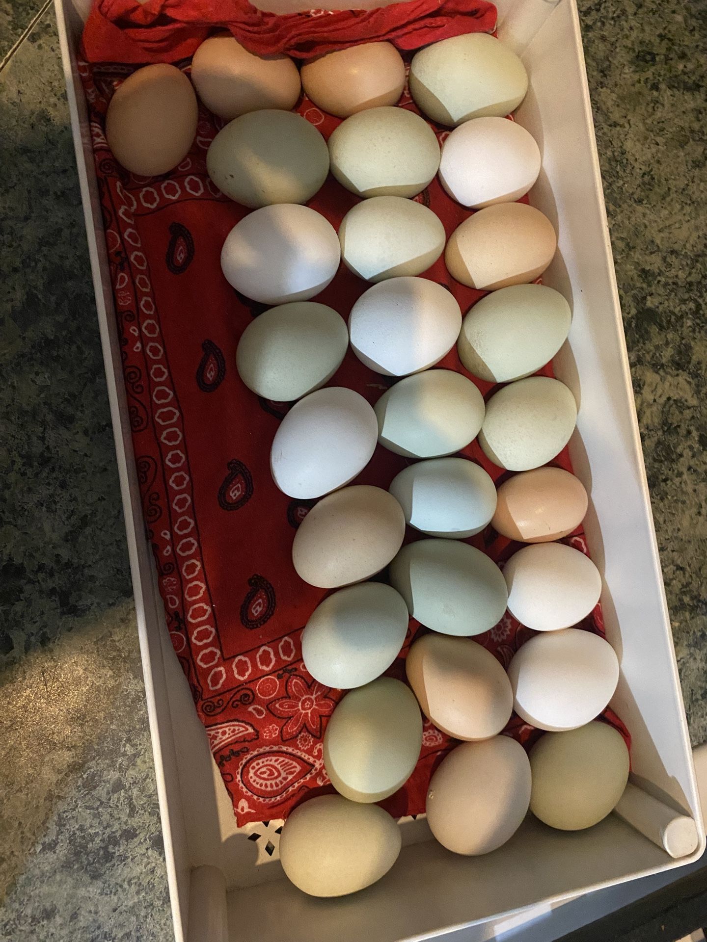 Farm Fresh Eggs