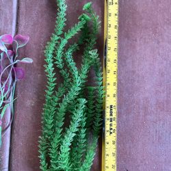 Plastic Aquatic Plants Bundle