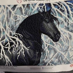 Diamond Art Assembled By Me