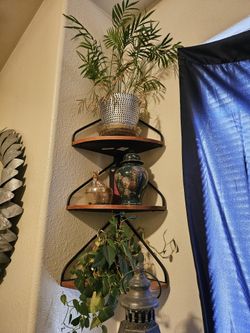 Plants And Deco