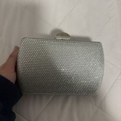 Shinny Bag