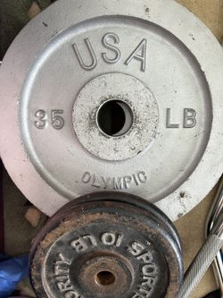 Weights, Curl Bar, Bar