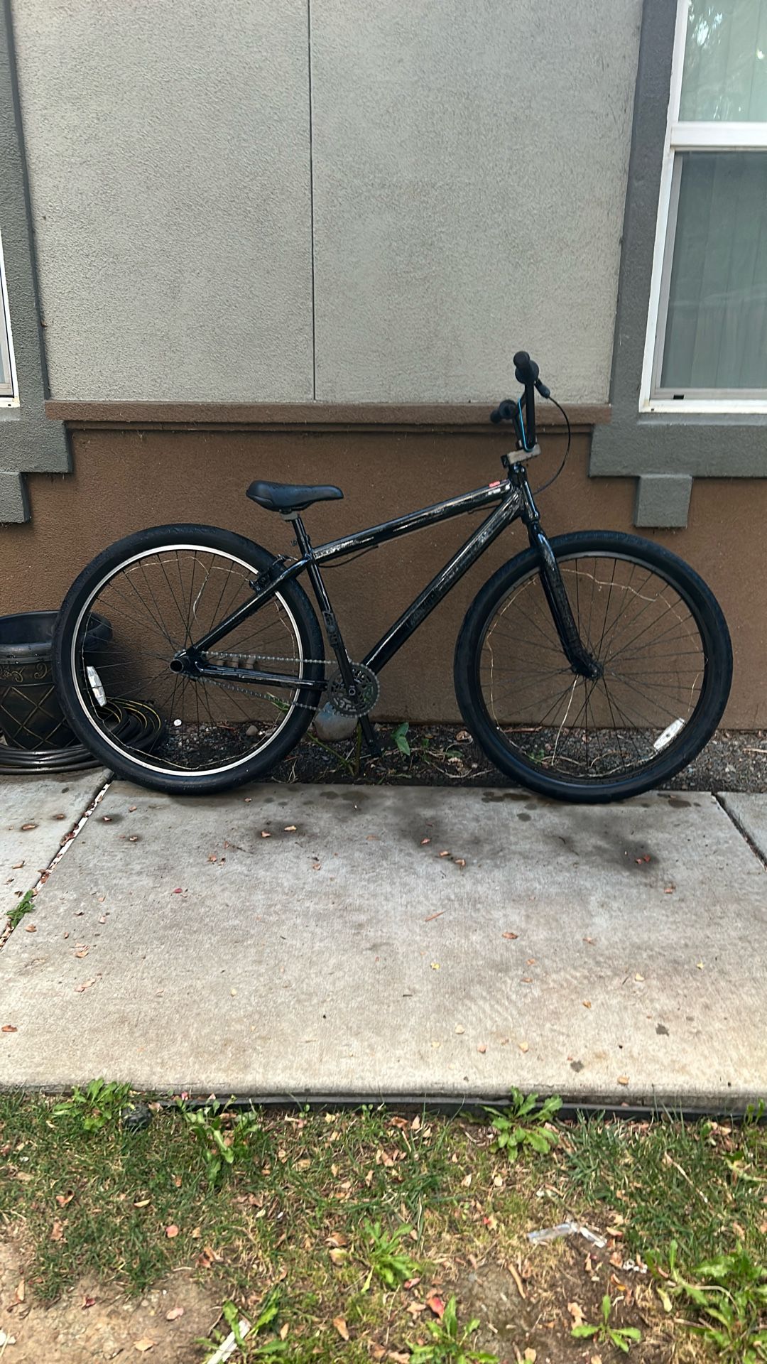 Big Flyer SE Bike 29 Inch