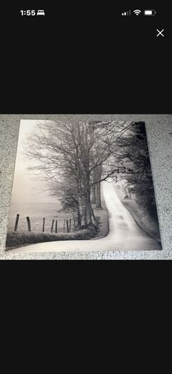 Cades Cove" photographer Nicholas Bell 48 X 48 Canvas