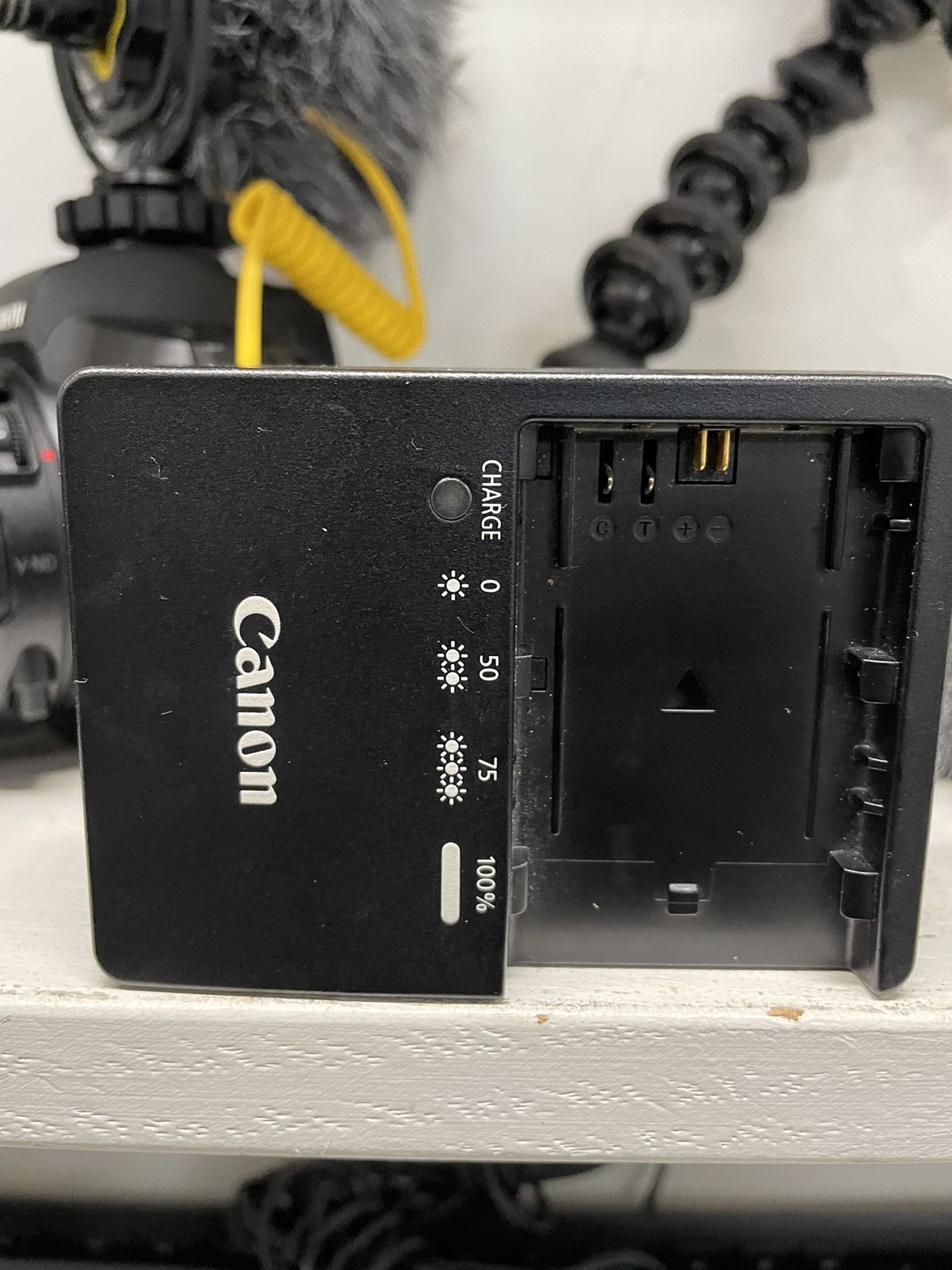 Canon EOS R DIGITAL Camera MODEL DS126721 Lens 75300mm With Charger