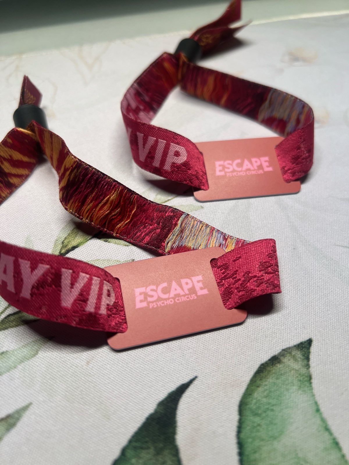 (2) VIP 2-Day Wristbands FRIDAY ONLY