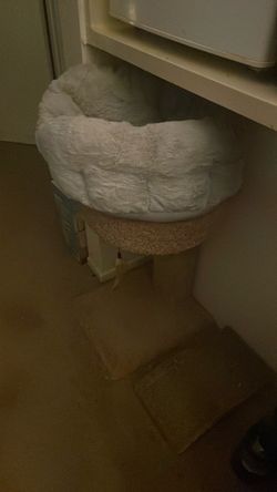 Cat stuff s