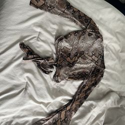 Snake Skin Top