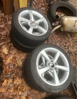 17” Audi peelers