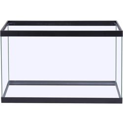 10 Gallon Fish Tank 
