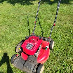 Ready To Mow Your Yard
