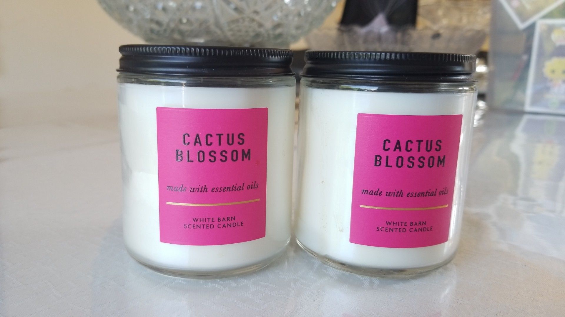 Set of 2 Cactus Blossom Candles