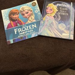 Disney’s  Frozen Lot Of 2  Elsa’s Book Of Secrets  And Frozen Hairstyles