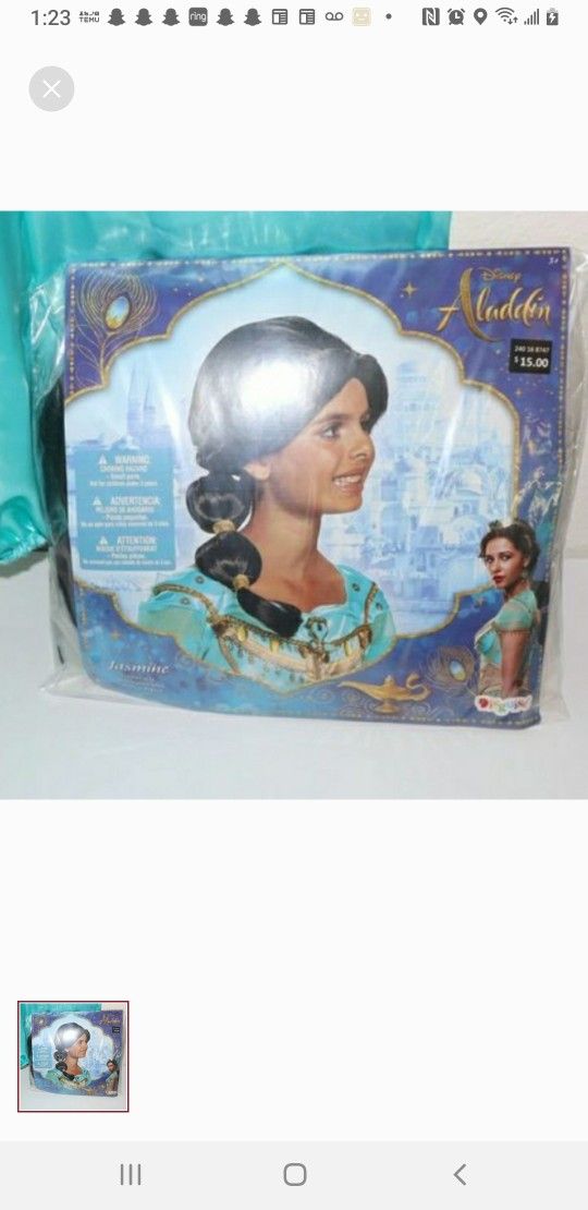 Disney Jasmine Wig Brand NEW