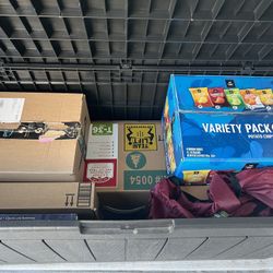 Christmas Tree & Holiday Decorations Set