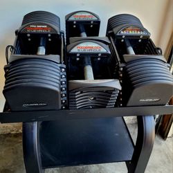 Powerblock Adjustable Dumbells, Weights, Gym Equipment 