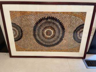 Real Butterfly Wings Art