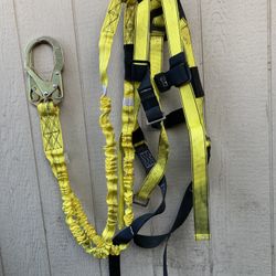 Harness