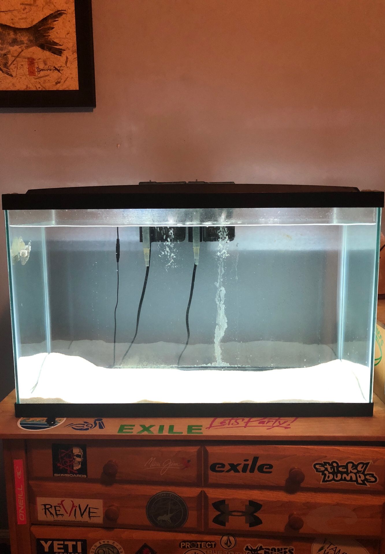 Fish tank 30 gallon
