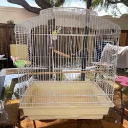 White Bird Cage