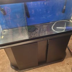55 gallon glass aquarium and stand