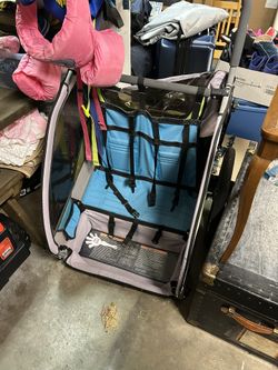 CoPilot Bike Trailer