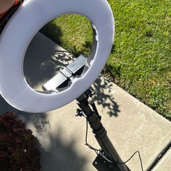 NEEWER 14” Ring light With Wall Mount