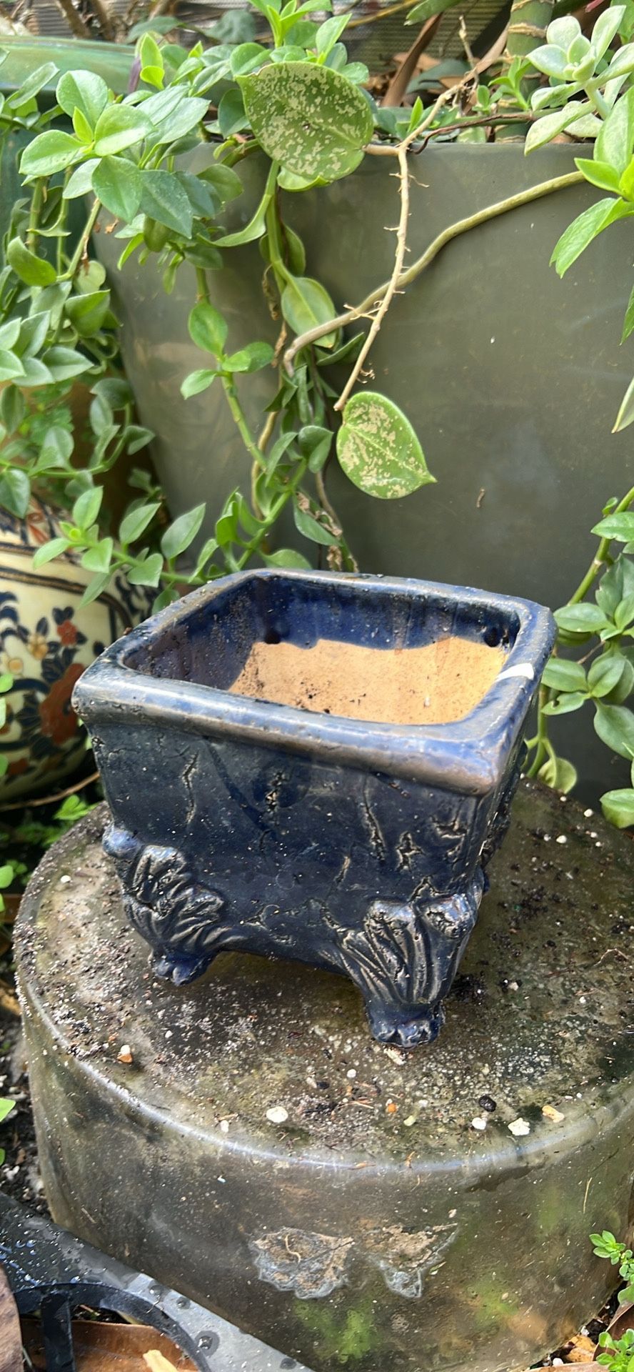 Blue Ceramic Plant Container No Holes