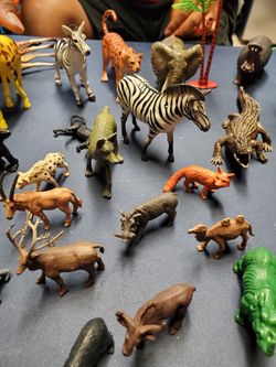 Animal toys