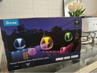 Govee Lights