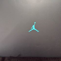 jordan 11 gamma blue size 9.5