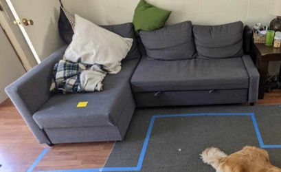 IKEA Friheten Sleeper Sofa