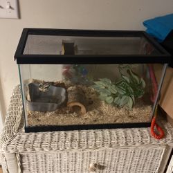 Reptile Tank