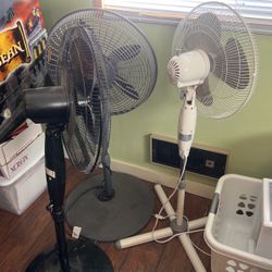 Fans 