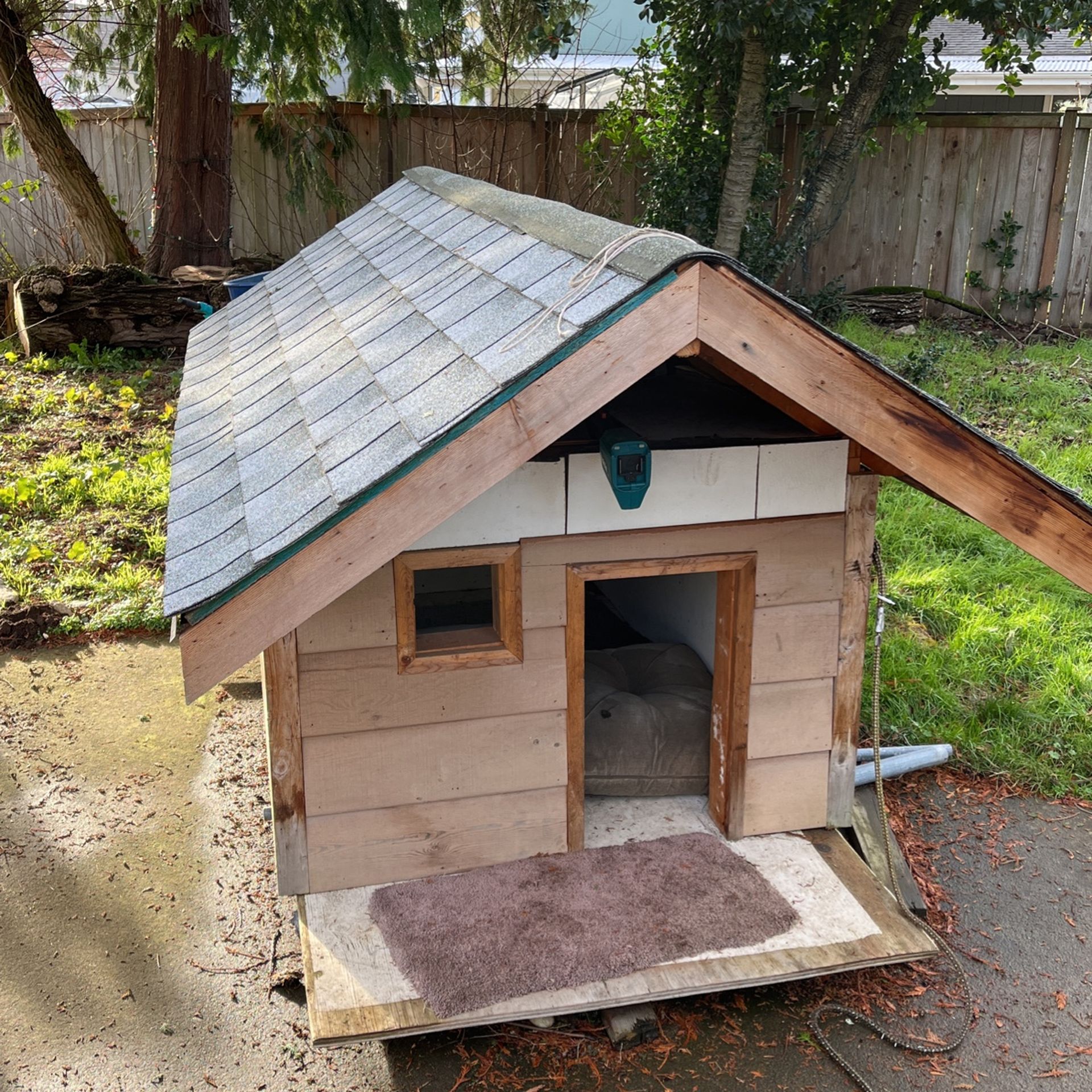 Dog House Large Custom