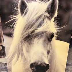 Picture Wall Frame  $25 $20 