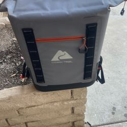 Backpack  Ice Chest. Good For Beach. Park And Hikes 